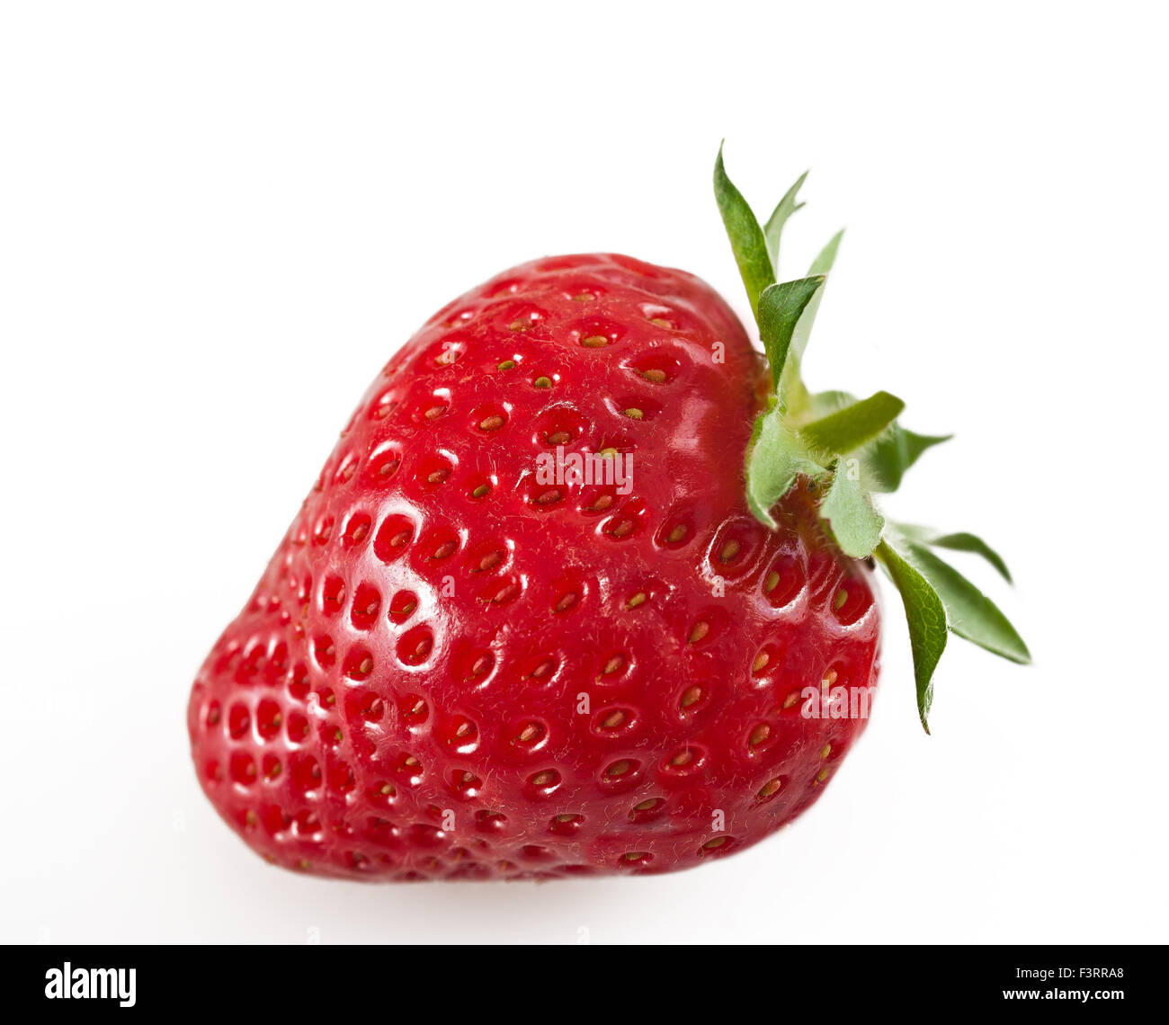 Erdbeere, isoliert auf weißem Hintergrund Stockfoto