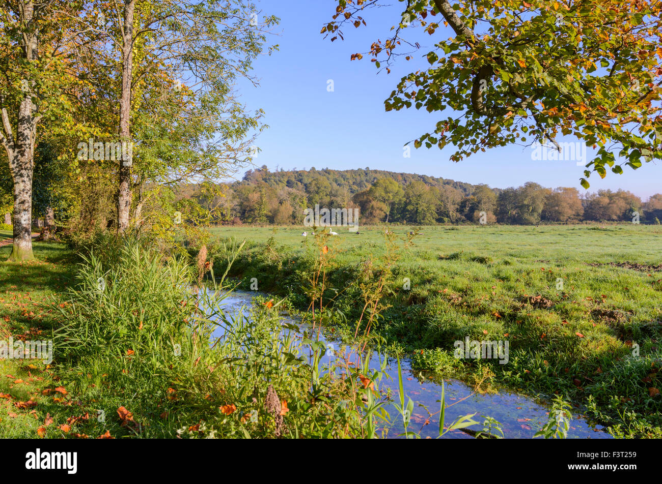 Bach im Feld Land im Herbst in der frühen Morgensonne, in Arundel, West Sussex, England, UK. Stockfoto