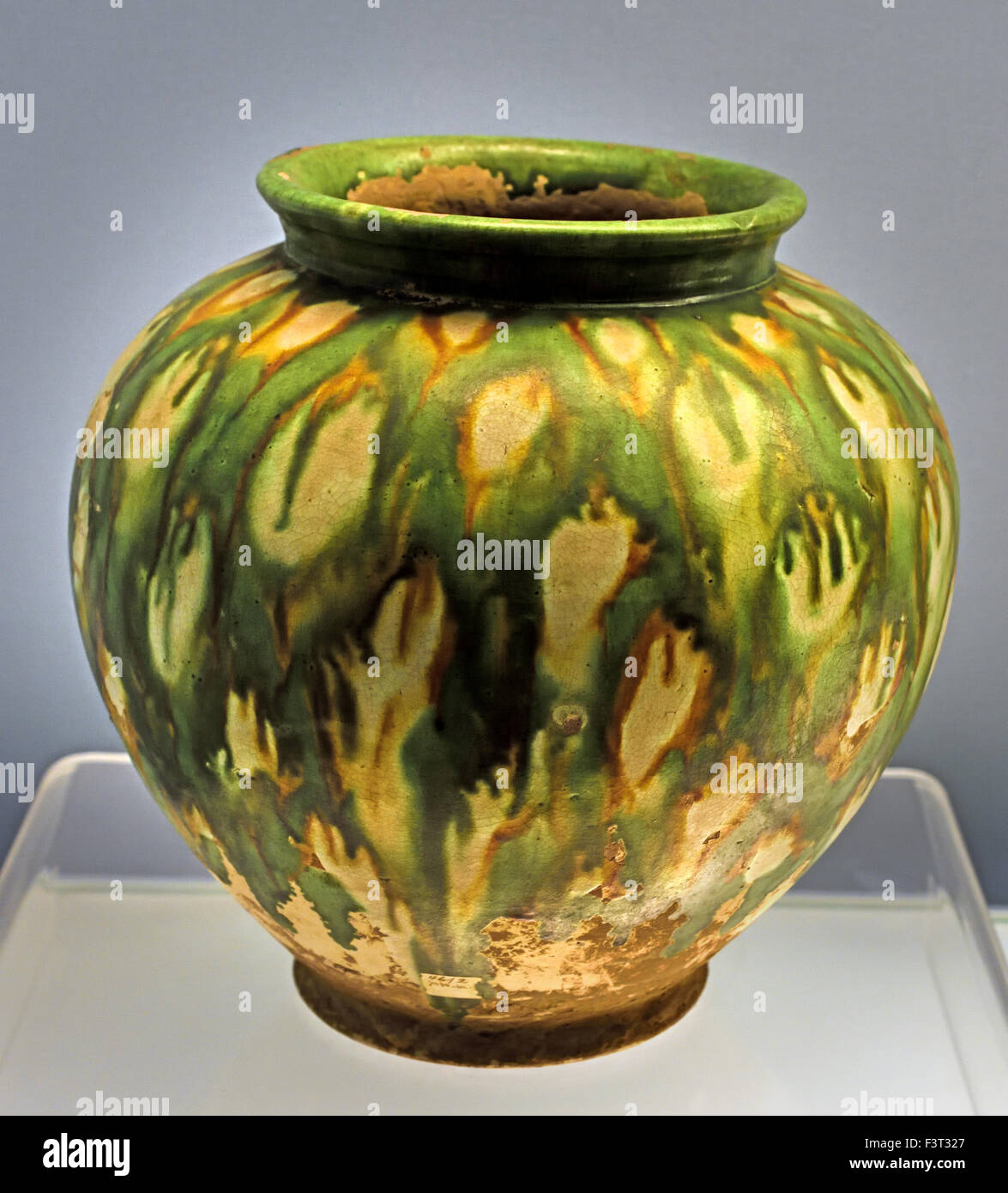 Polychrom glasierte Keramik Jar 618-907 n. Chr. Tang Han-Dynastie (Shanghai Museum alter chinesischer Kunst) China Stockfoto