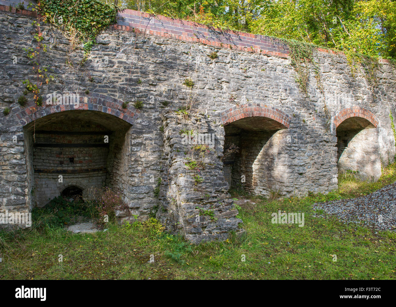 Knowle Steinbruch Kalköfen on Wenlock Edge, Shropshire. Stockfoto