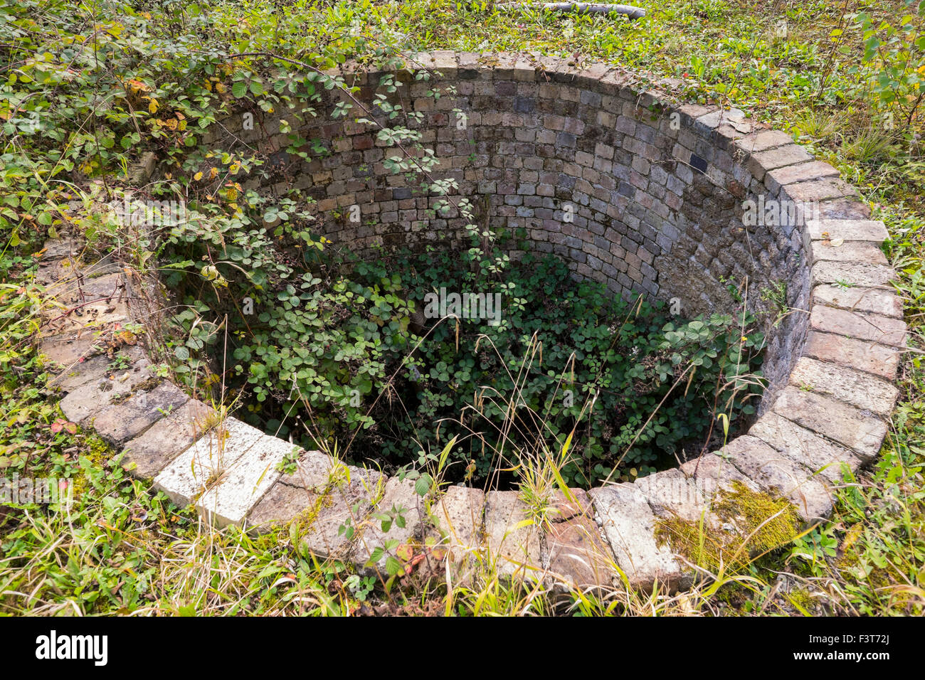 Knowle Steinbruch Kalköfen on Wenlock Edge, Shropshire. Stockfoto