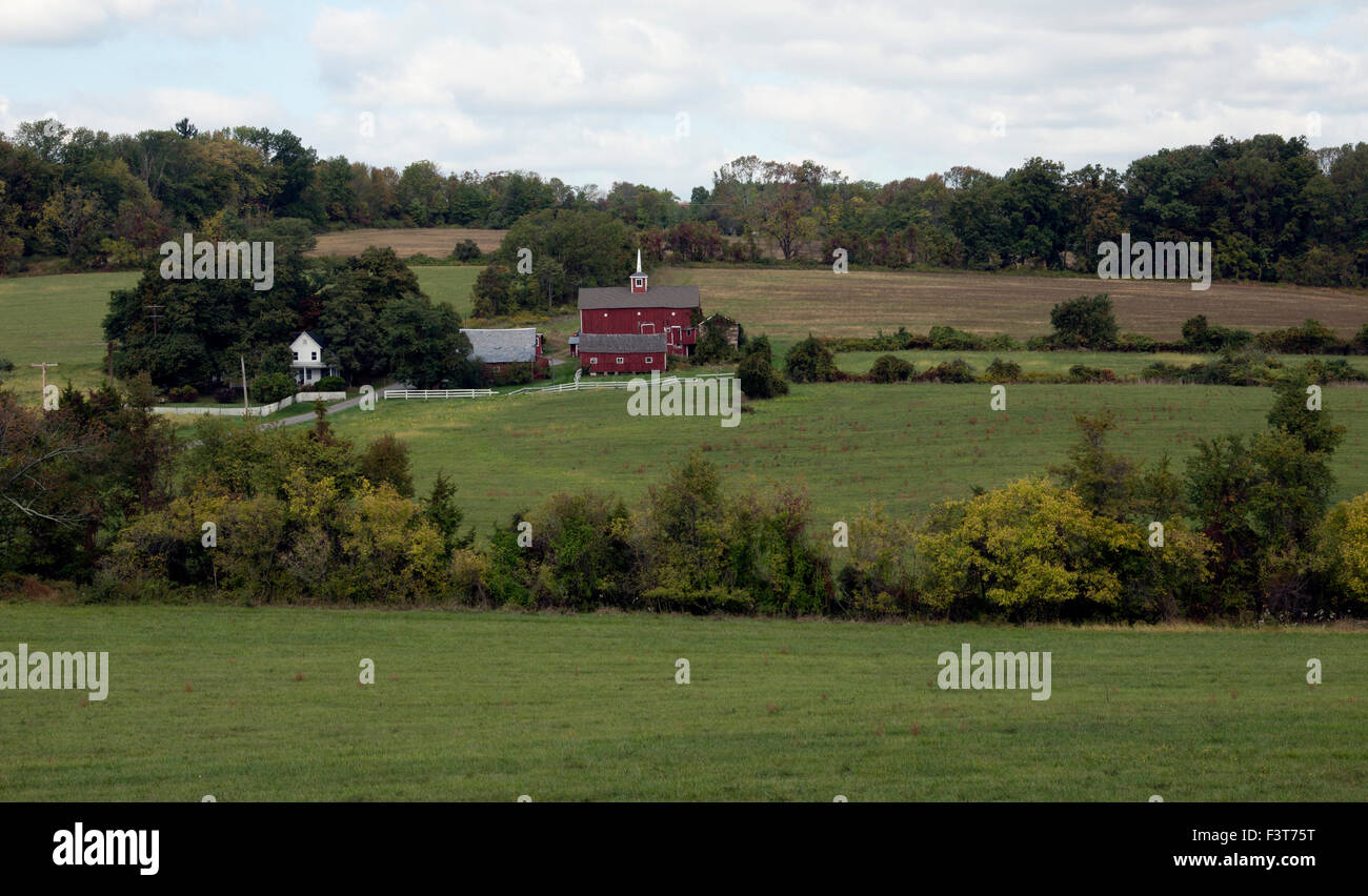 Auf dem Bauernhof New Jersey USA US Amerika. Stockfoto
