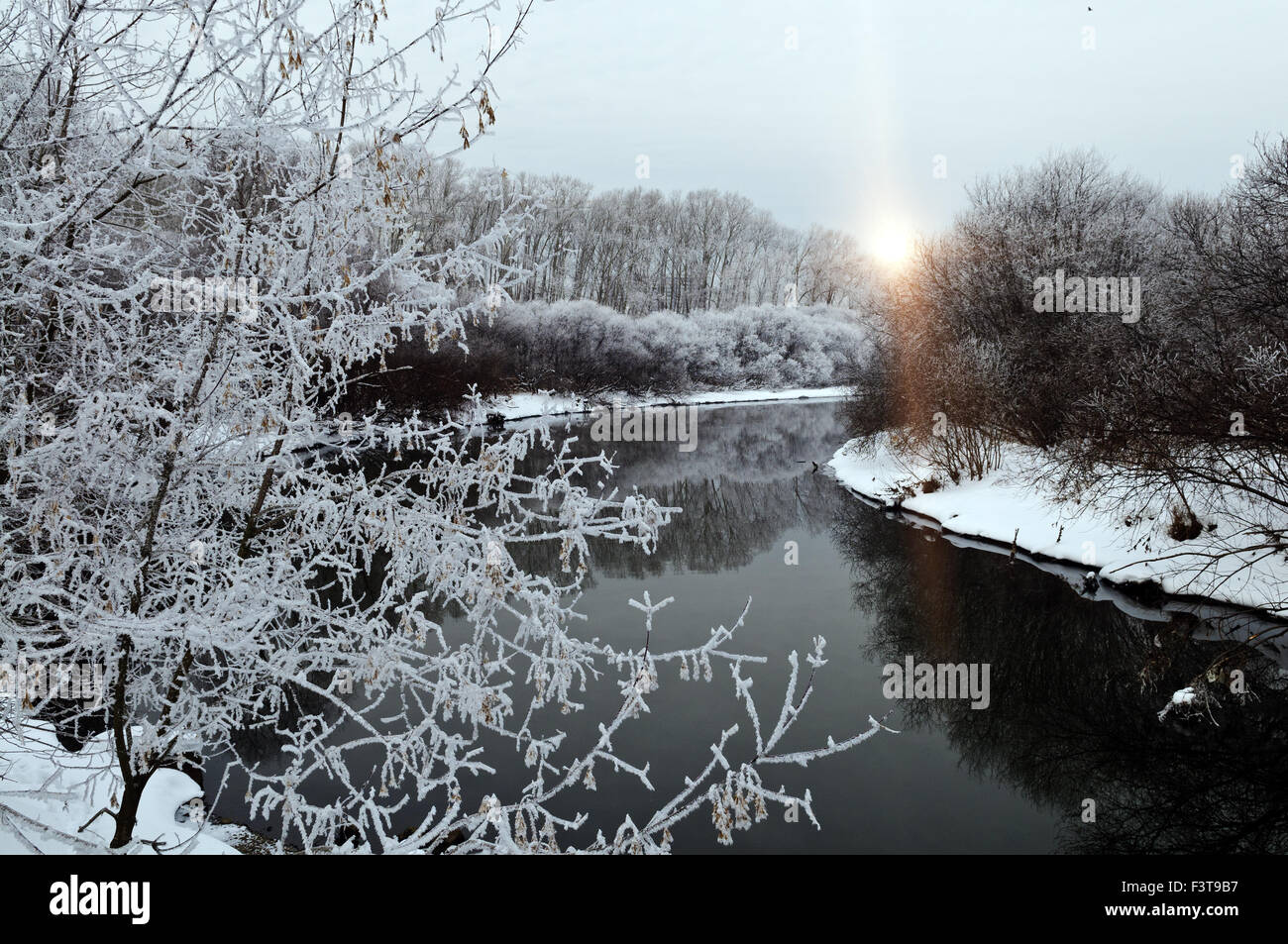 Winterlandschaft mit Raureif auf Bäumen in der Nähe von Fluss Stockfoto