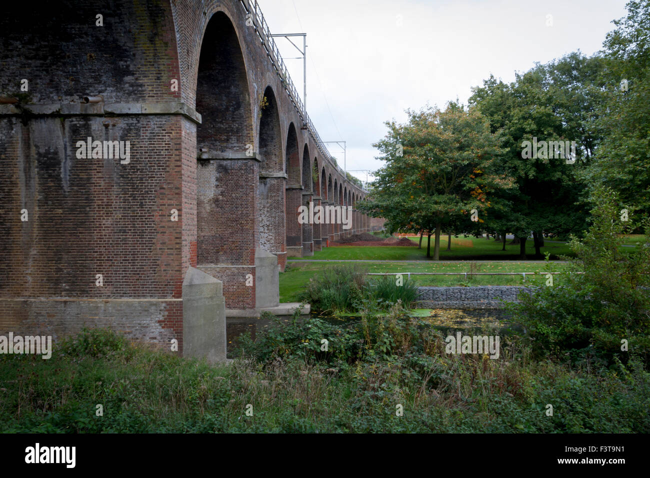 Eisenbahnbrücke über den Fluss Cann, Central Park, Chelmsford Essex uk Stockfoto