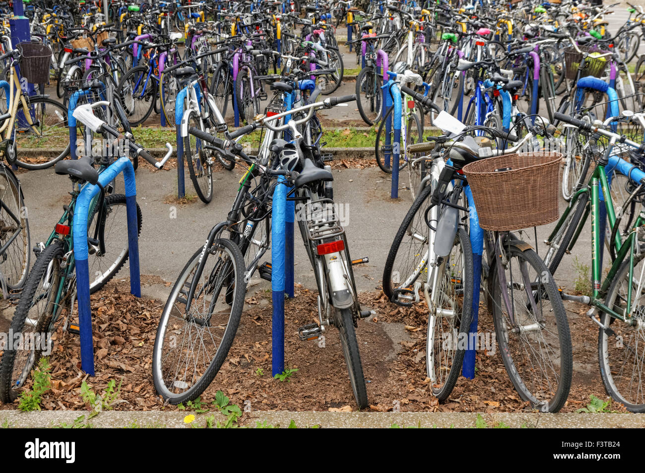 Fahrräder geparkt an einem Fahrradständer in Oxford, Oxfordshire England Vereinigtes Königreich Stockfoto