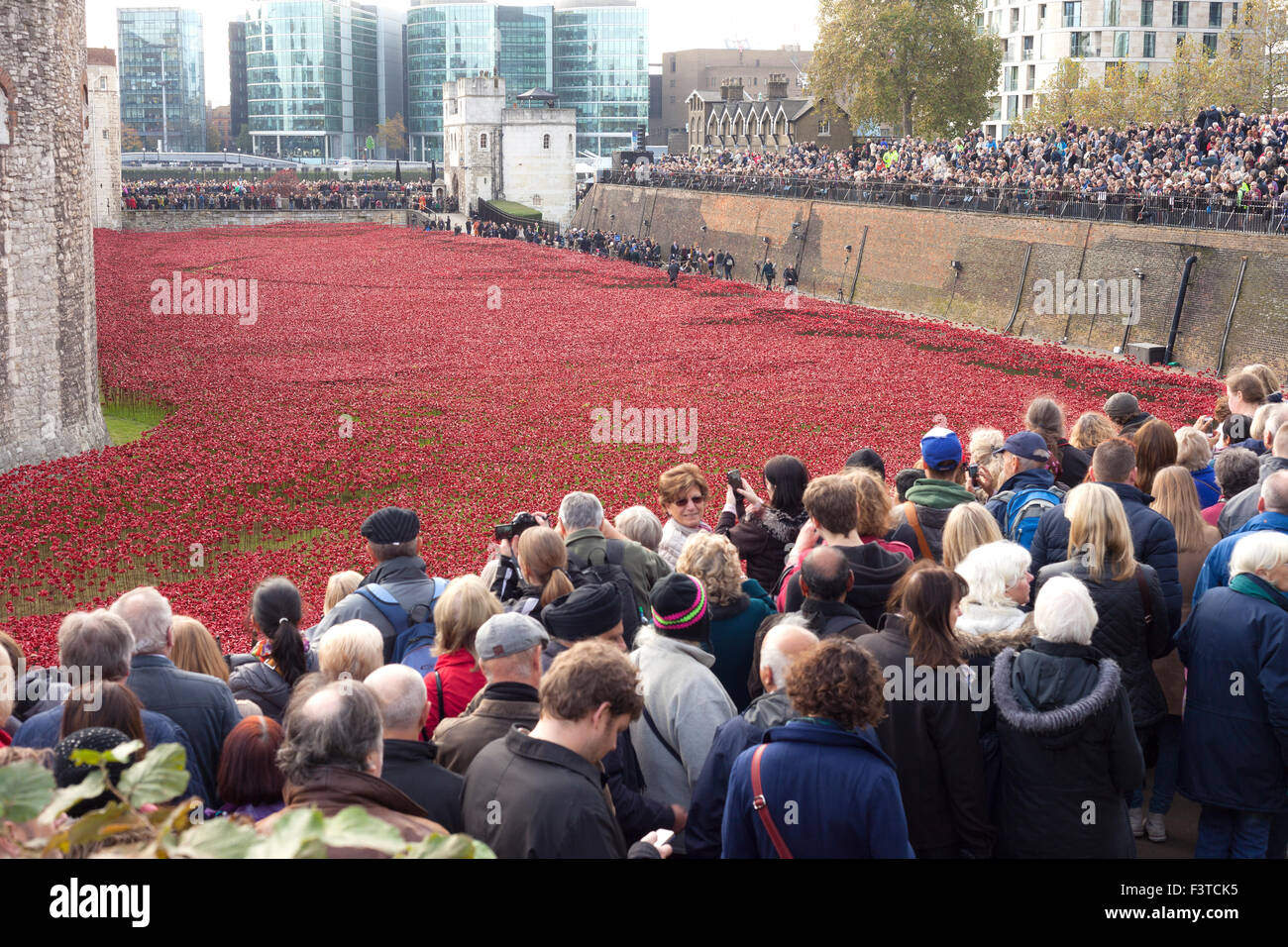 Erinnerung feiern 2014. "Blut sieht und Land der roten gefegt", eine Kunstinstallation von Paul Cummins in den Tower of London. Stockfoto