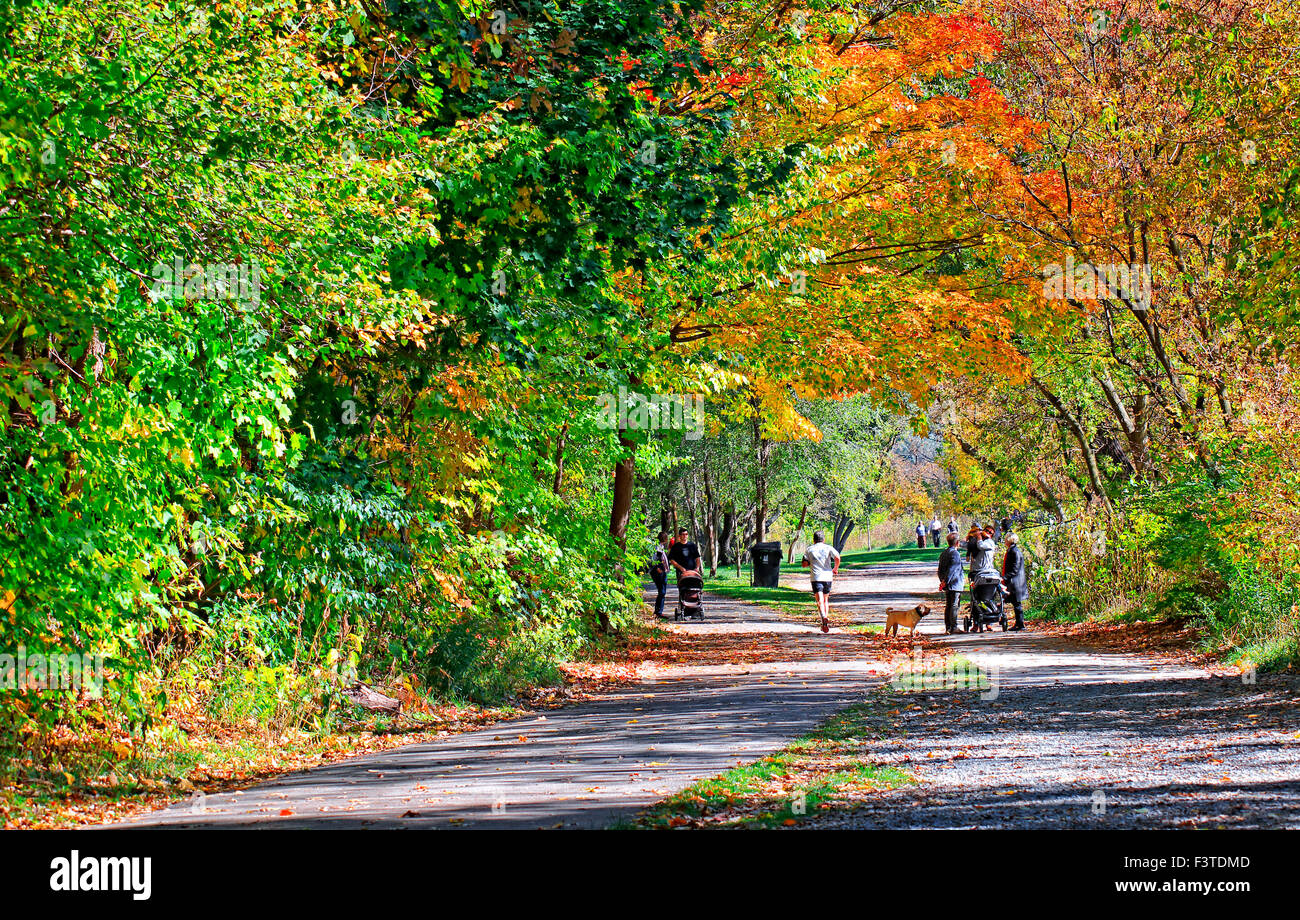 Menschen verbringen einen angenehmen Herbst Sonntag auf dem Wanderweg unter den Farben des Herbstes im Etienne Brulé Park in Etobicoke, Toronto, Cana Stockfoto