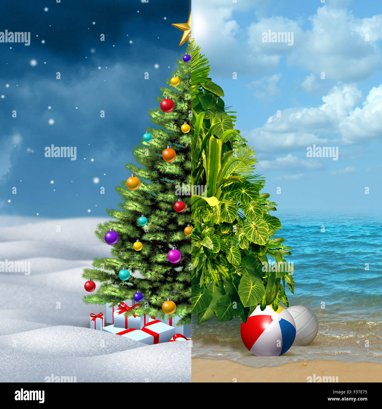 Winter und tropische Weihnachten Urlaub Konzept als eine festliche geschmückten Tanne auf eine halbe und eine tropische Pflanze Anordnung an einem sonnigen warmen Strand als Metapher für Reise- und Tourismduring den Silvester-Urlaub. Stockfoto