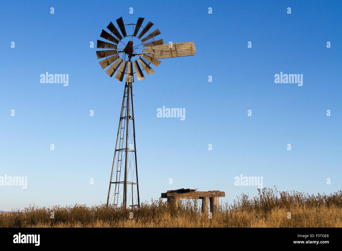 Australische Windmühle Stockfoto