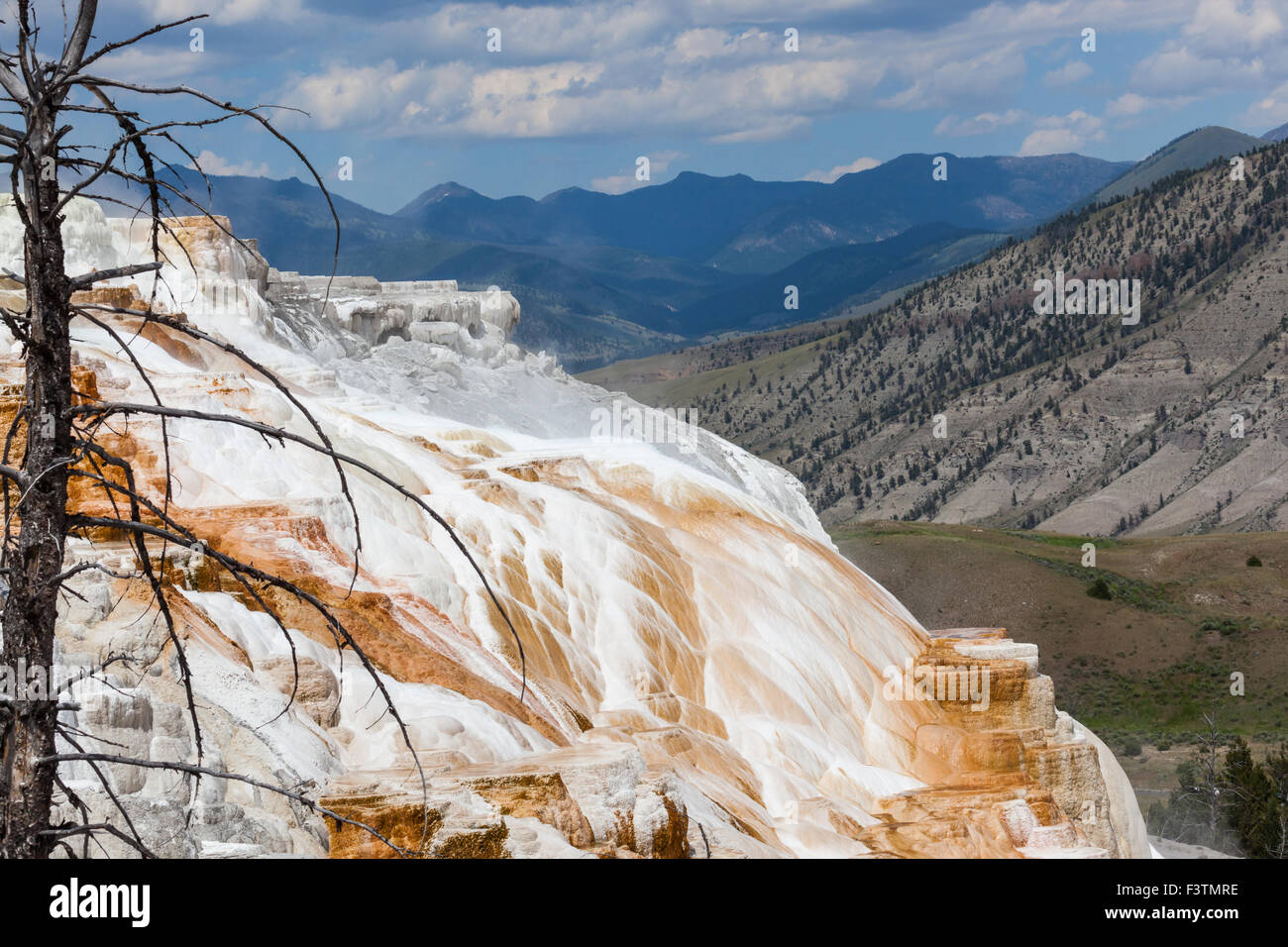 Die erstaunliche Mammoth Hot Springs im Yellowstone-Nationalpark mit Dampf steigt aus der bunten Treppe-Formation, fernen Hallo Stockfoto