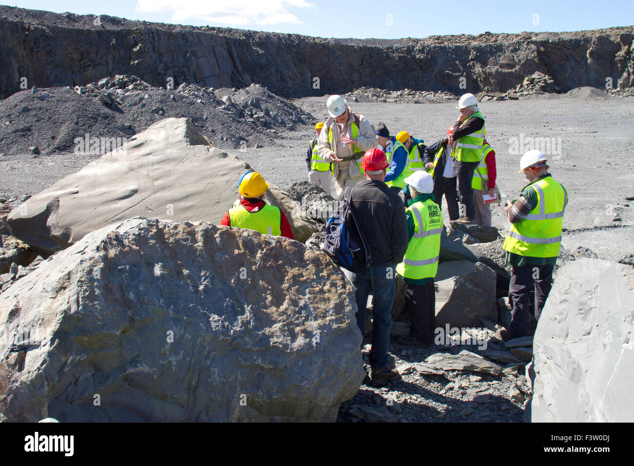 Geologen Felsbrocken von Richard Meurig Grütze auf einer Exkursion zum Ystrad Meurig Steinbruch zu betrachten. Ceredigion, Wales. April. Stockfoto