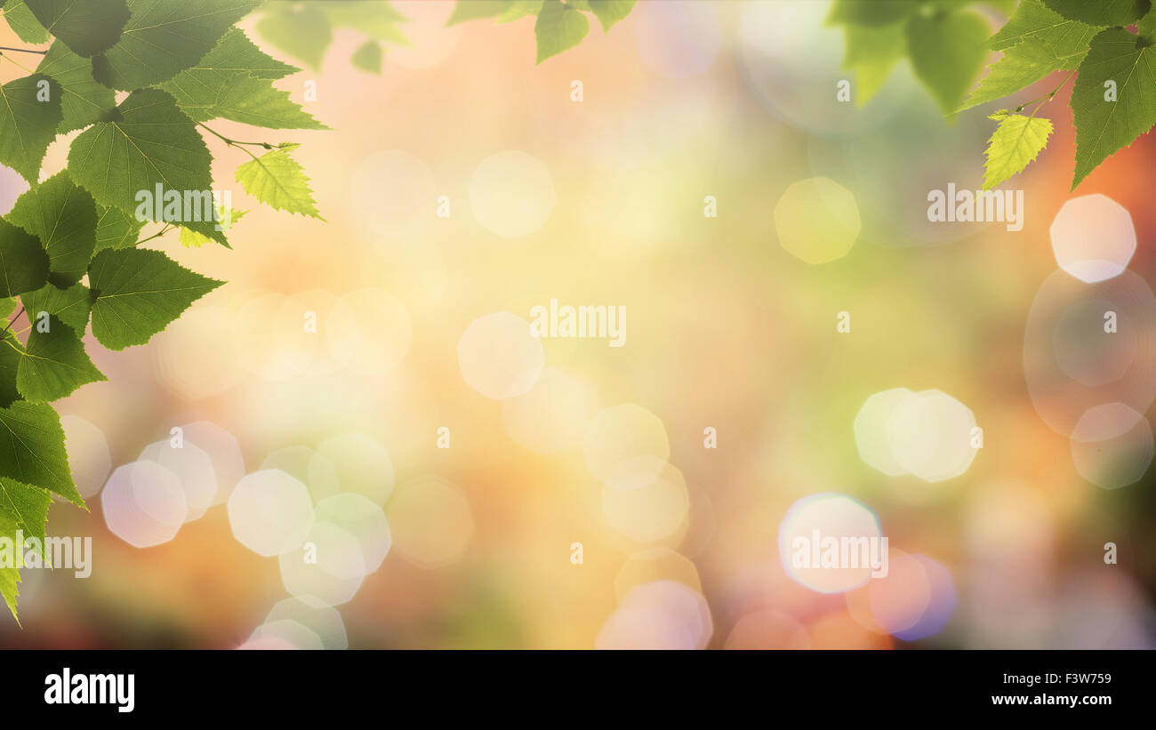 Herbstliche Herbst im Wald, ökologische abstrakt Stockfoto