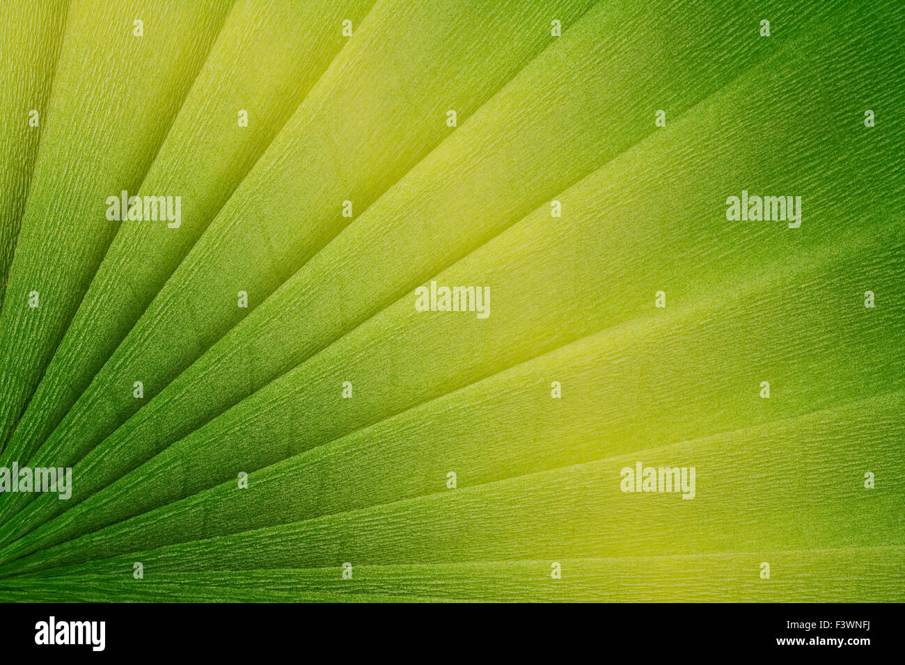 Grünbuch der Kommission Stockfoto