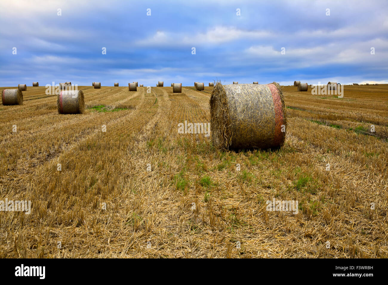 Strohballen als HDR-Bild Stockfoto