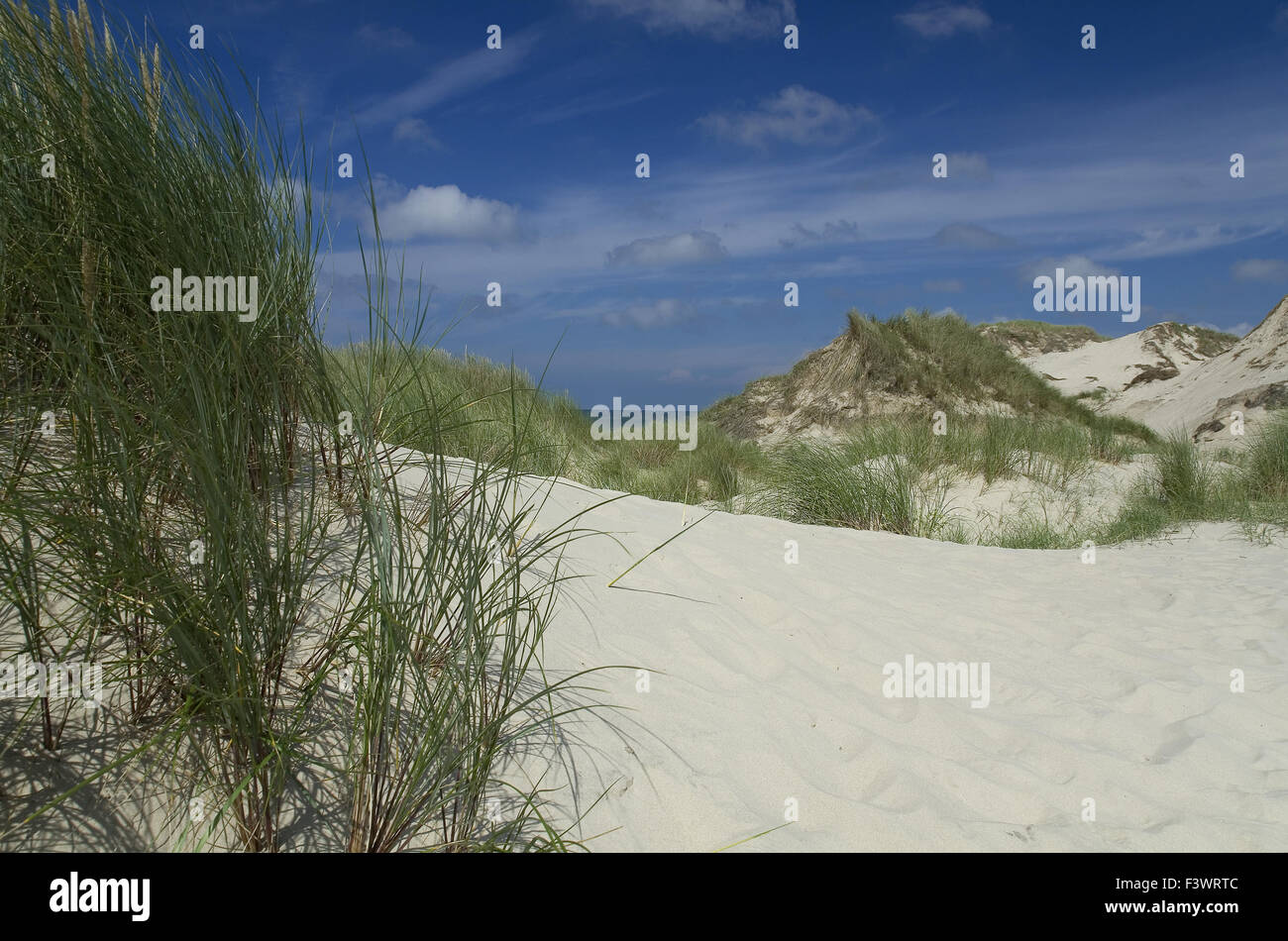 Düne Stockfoto