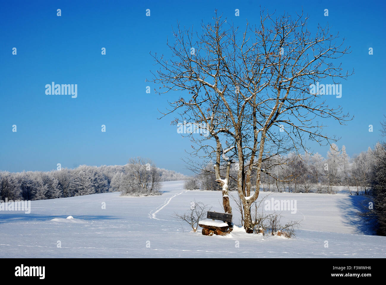 Winterlandschaft bei schwäbische Alb Deutschland Stockfoto