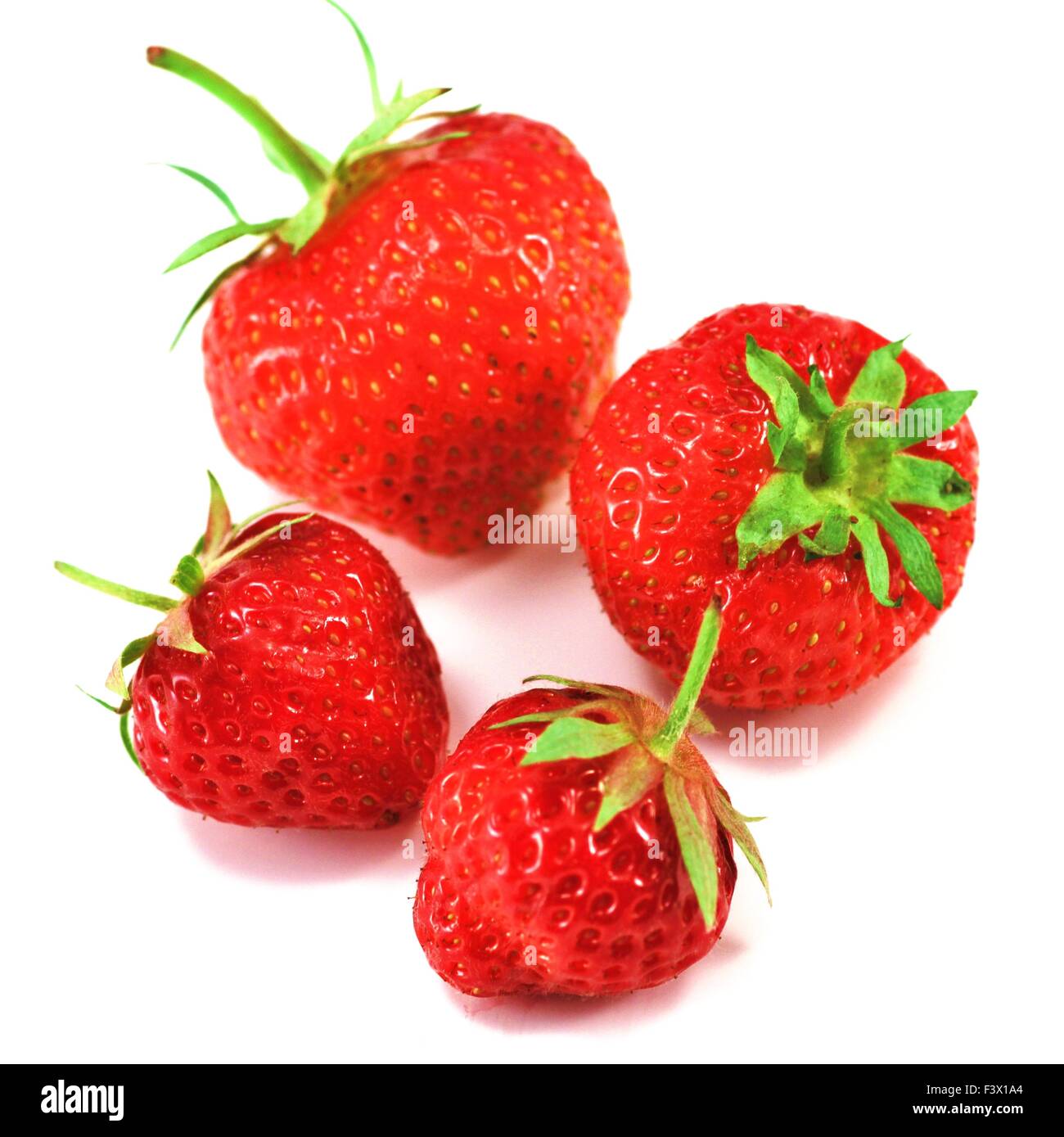 Erdbeeren - verschiedene Größen Stockfoto