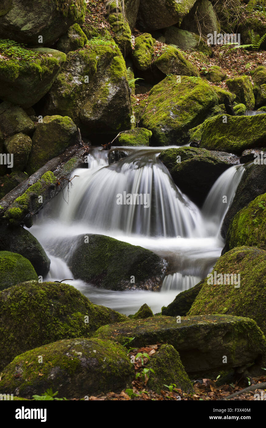 Ysperklamm-Druidenweg, Region Waldviertel, Lowe Stockfoto