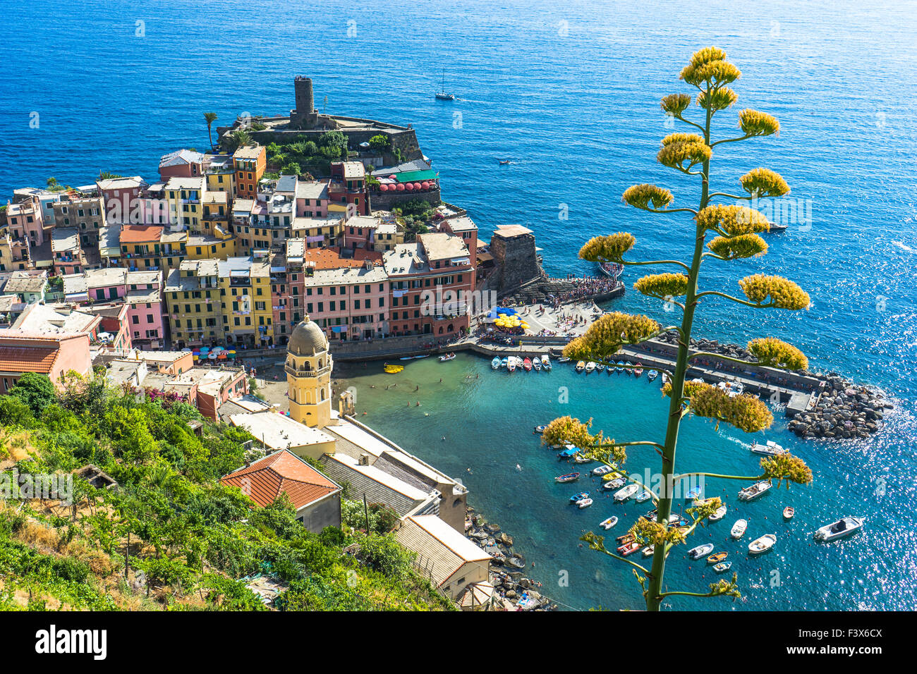 Luftaufnahme von Vernazza in der Cinque Terre mit Baum an einem Sommertag. Italien. Juli 2015. Stockfoto