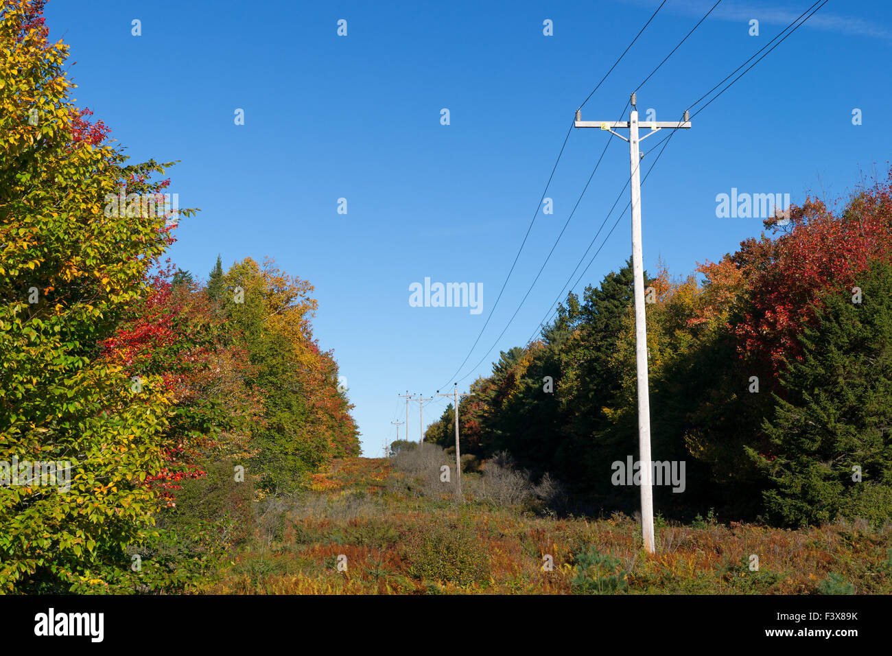 Ländliche Stromleitungen Schnitt durch einen Wald mit Herbstlaub drehen auf beiden Seiten in Neu-England. Stockfoto
