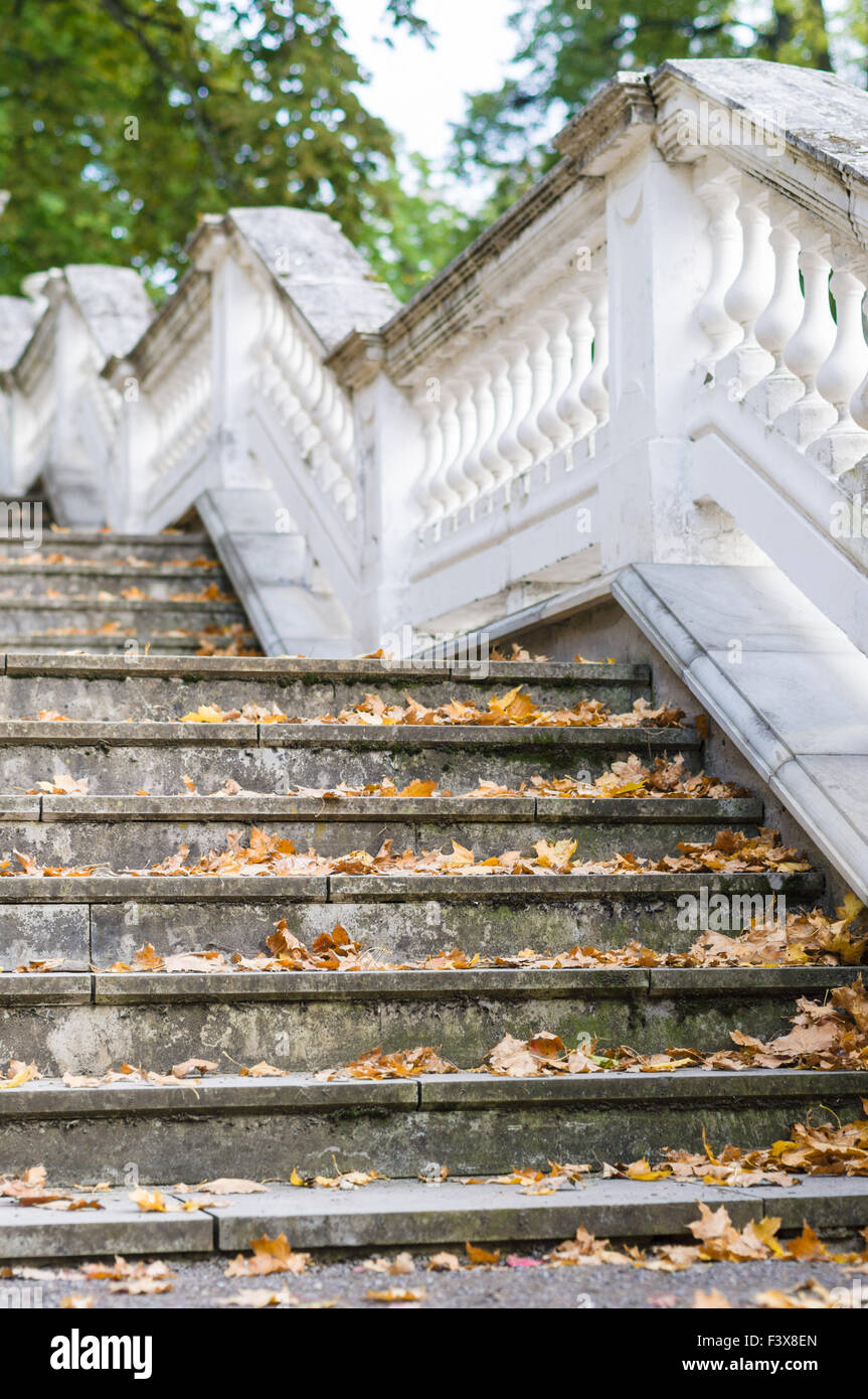Outdoor-Retro-Style Treppen mit reich verzierten trockene Geländer, Herbst Blatt auf Schritte Stockfoto
