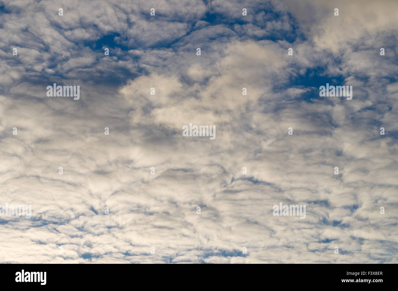 Stratocumulus Wolken und den dunkelblauen Himmel Stockfoto