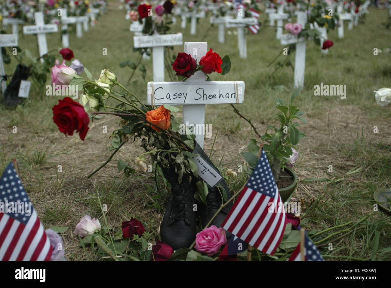 Ein Kreuz für Casey Sheehan ist unter anderen Kreuze an einer Anti-Kriegs-Protest vor Bushs Ranch in Crawford, Texas. Stockfoto