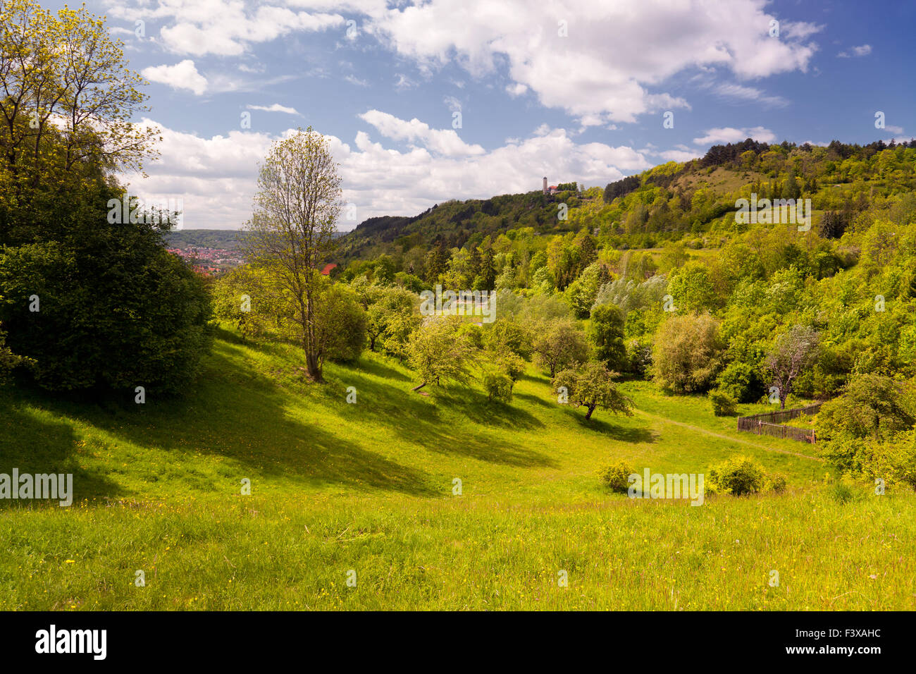 Landschaft-Tal Ziegenhain Stockfoto