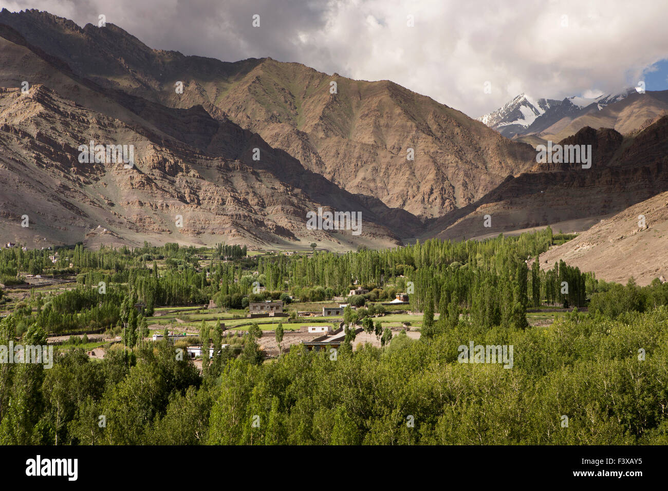 Indien, Jammu & Kashmir, Ladakh, Stok Dorf unter Pappeln, umgeben von Bergen Stockfoto