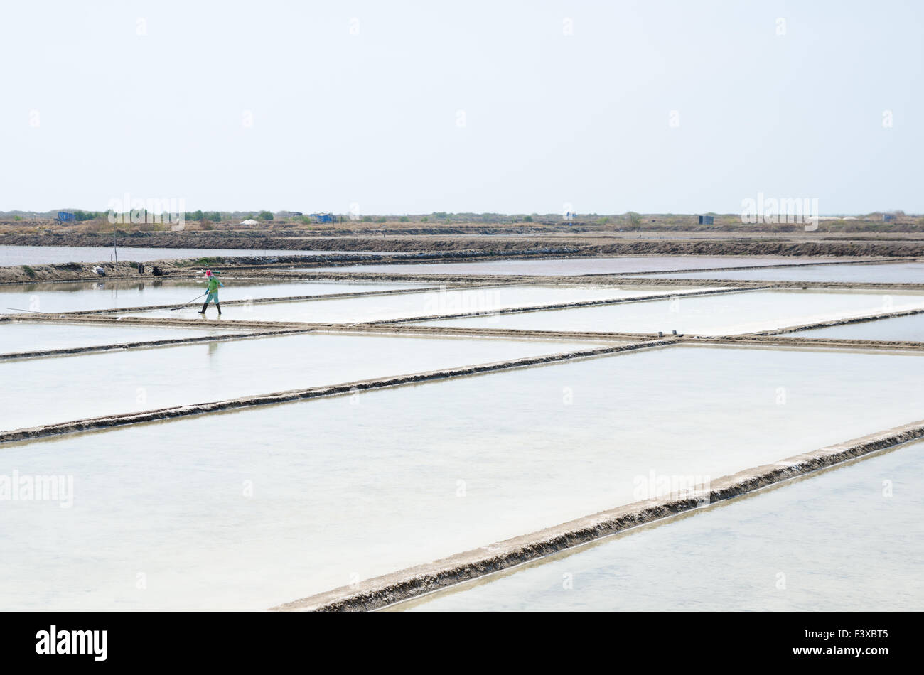 Salz-Plantagen, Vietnam Stockfoto