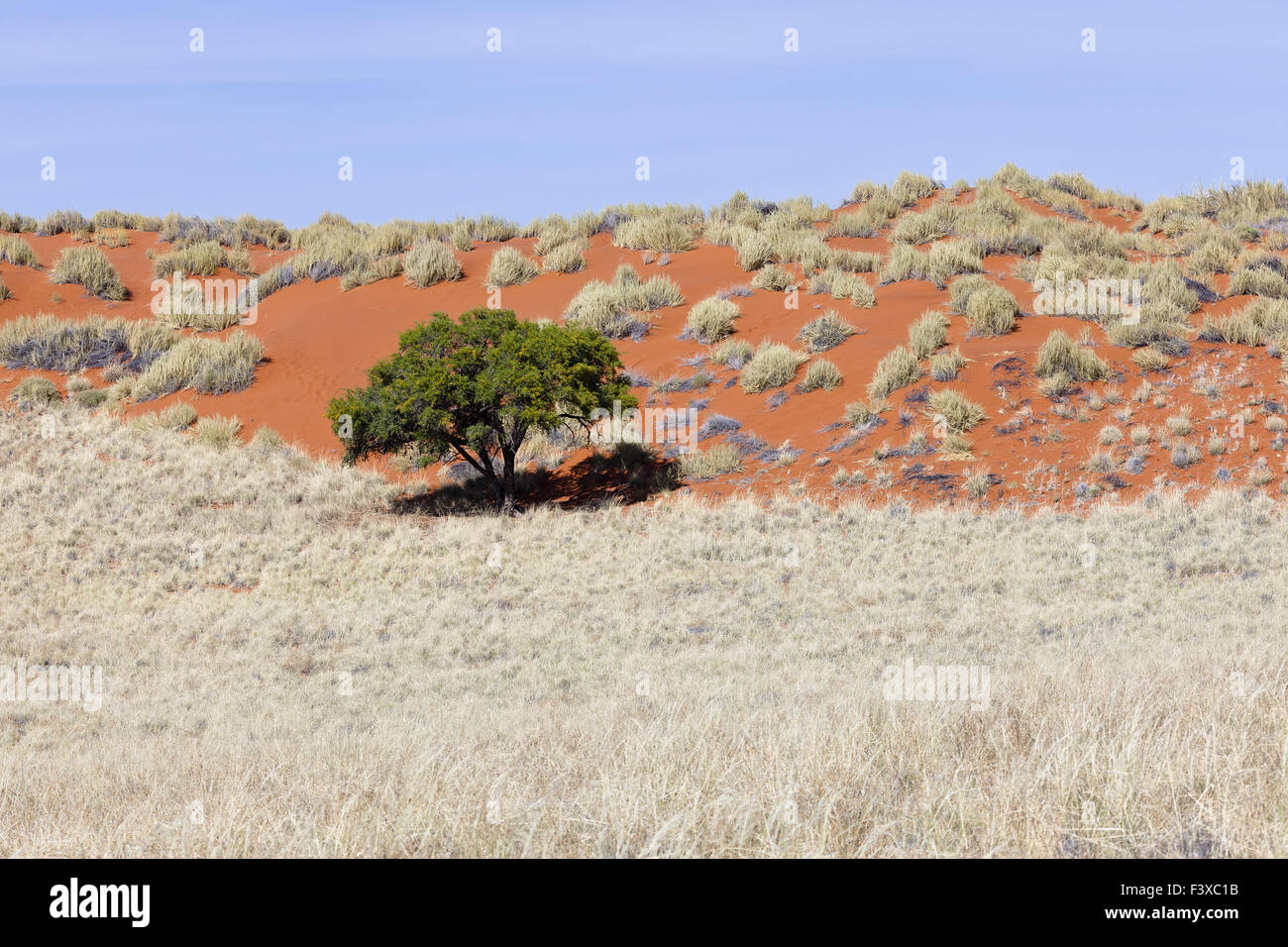 NamibRand Nature reserve Stockfoto