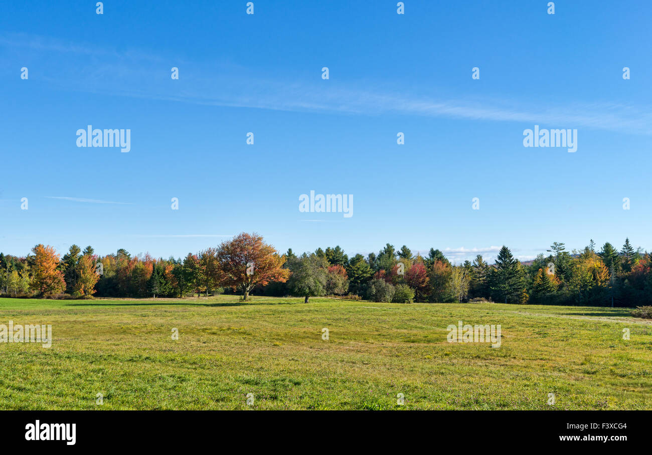 Weiten Blick über ein großes Stück Land mit Bäumen im Hintergrund drehen. Stockfoto