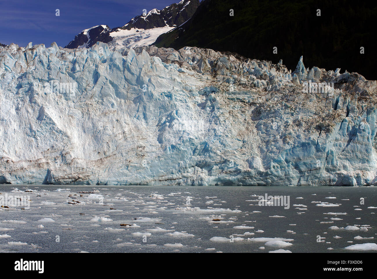 Maritime Gletscher Stockfoto