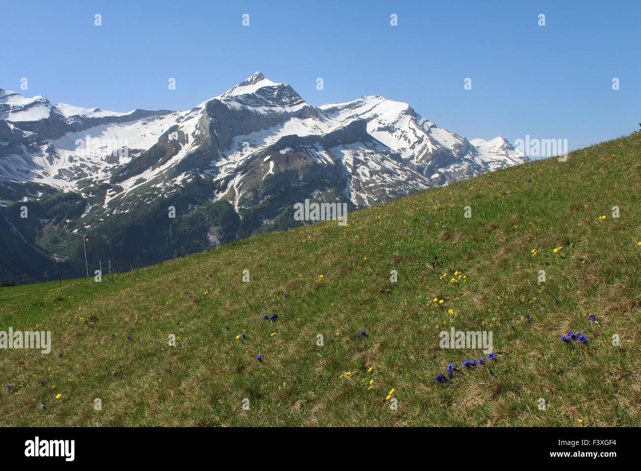 Oldenhorn, hohen Berg in der Nähe von Gstaad Stockfoto