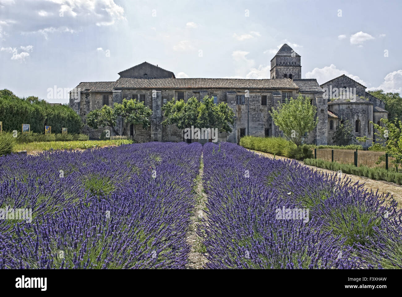 St. Paul de Mausole Stockfoto