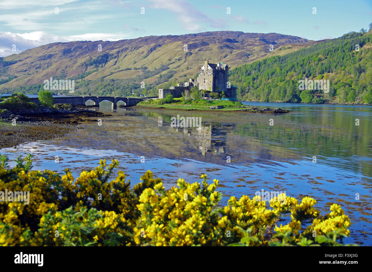 Eilean Donean Schloss im Frühjahr Stockfoto