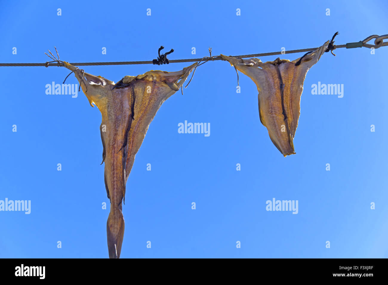 Getrockneter Fisch II. Stockfoto