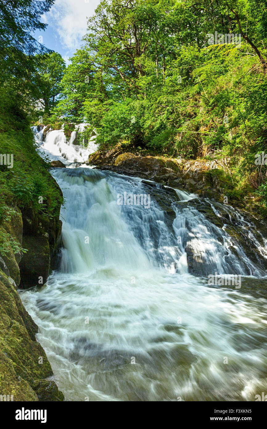 Swallow Falls, Betws-y-Coed, Nordwales Stockfoto