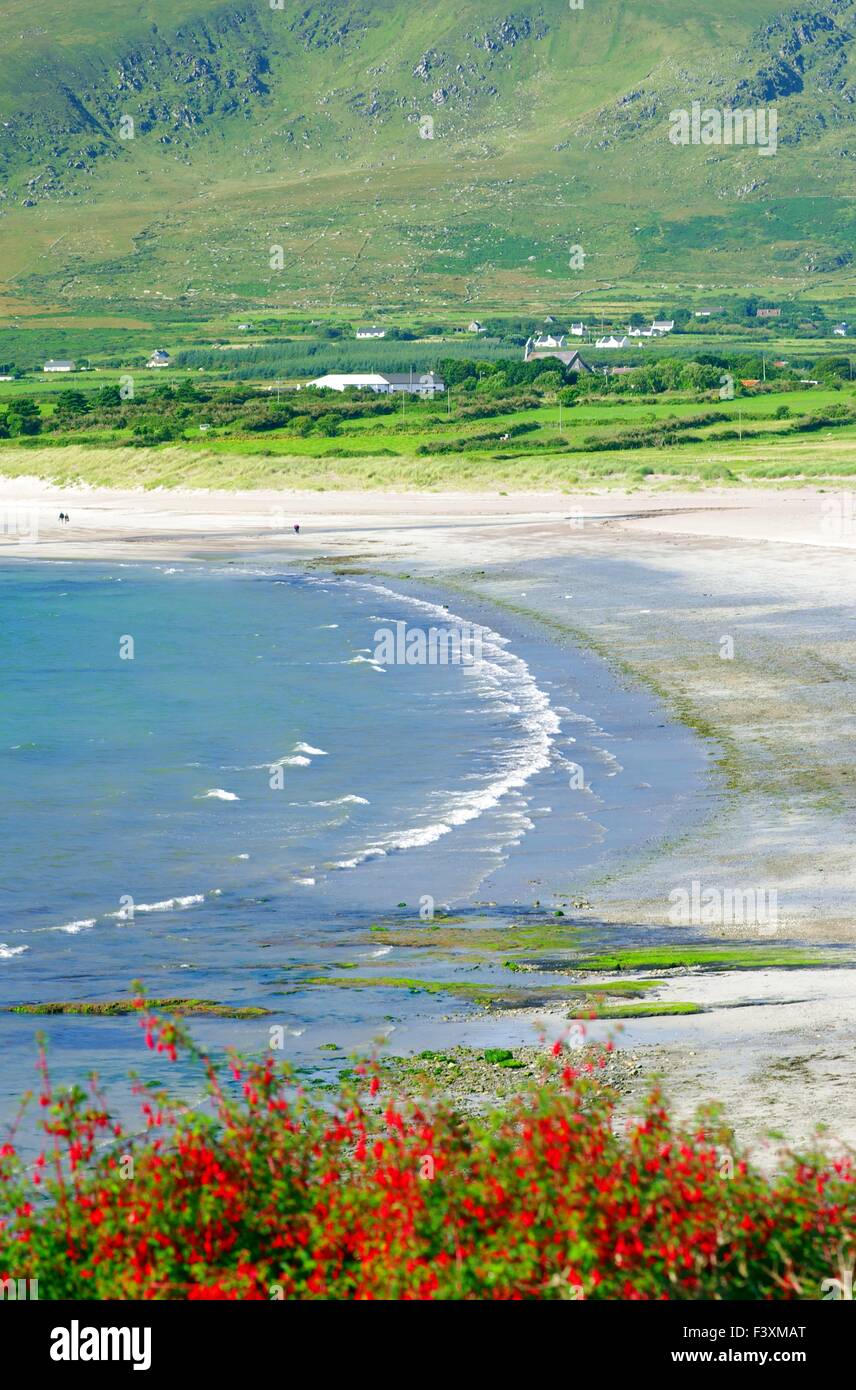 Strand auf der Dingle Halbinsel Stockfoto