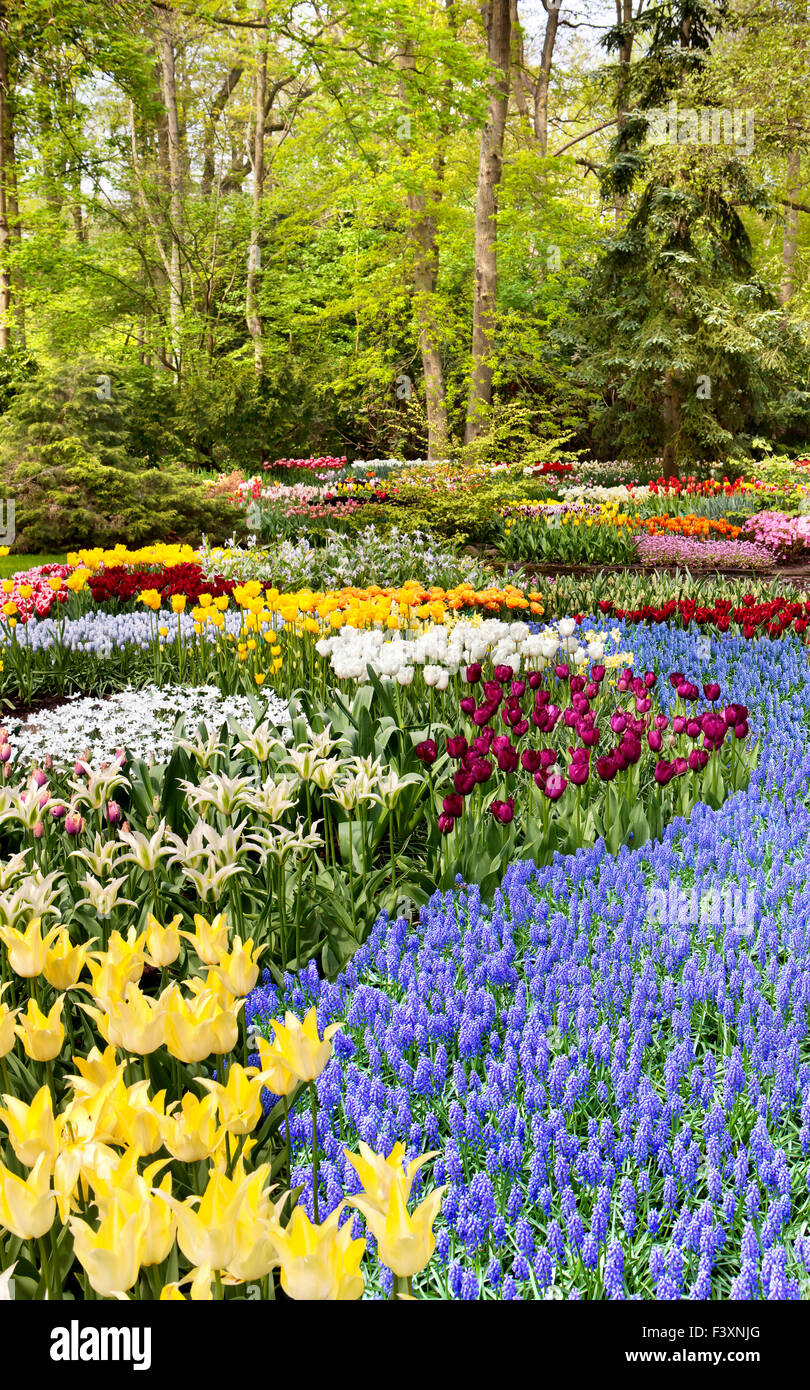 Park-Keukenhof in den Niederlanden Stockfoto