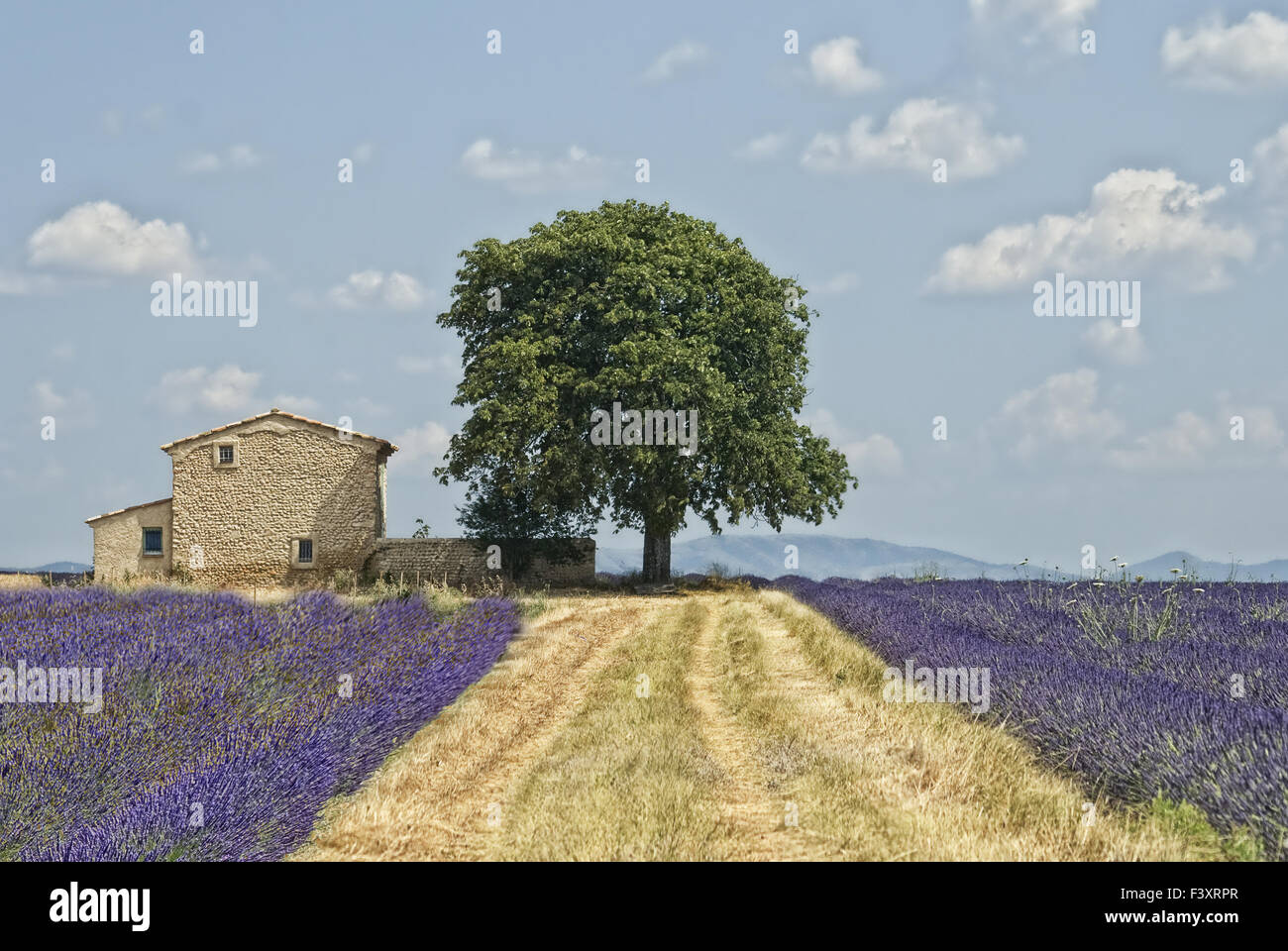 schöner Tag Stockfoto