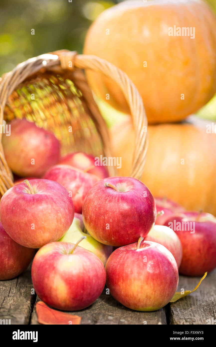 Obst und Gemüse im Herbst Stockfoto