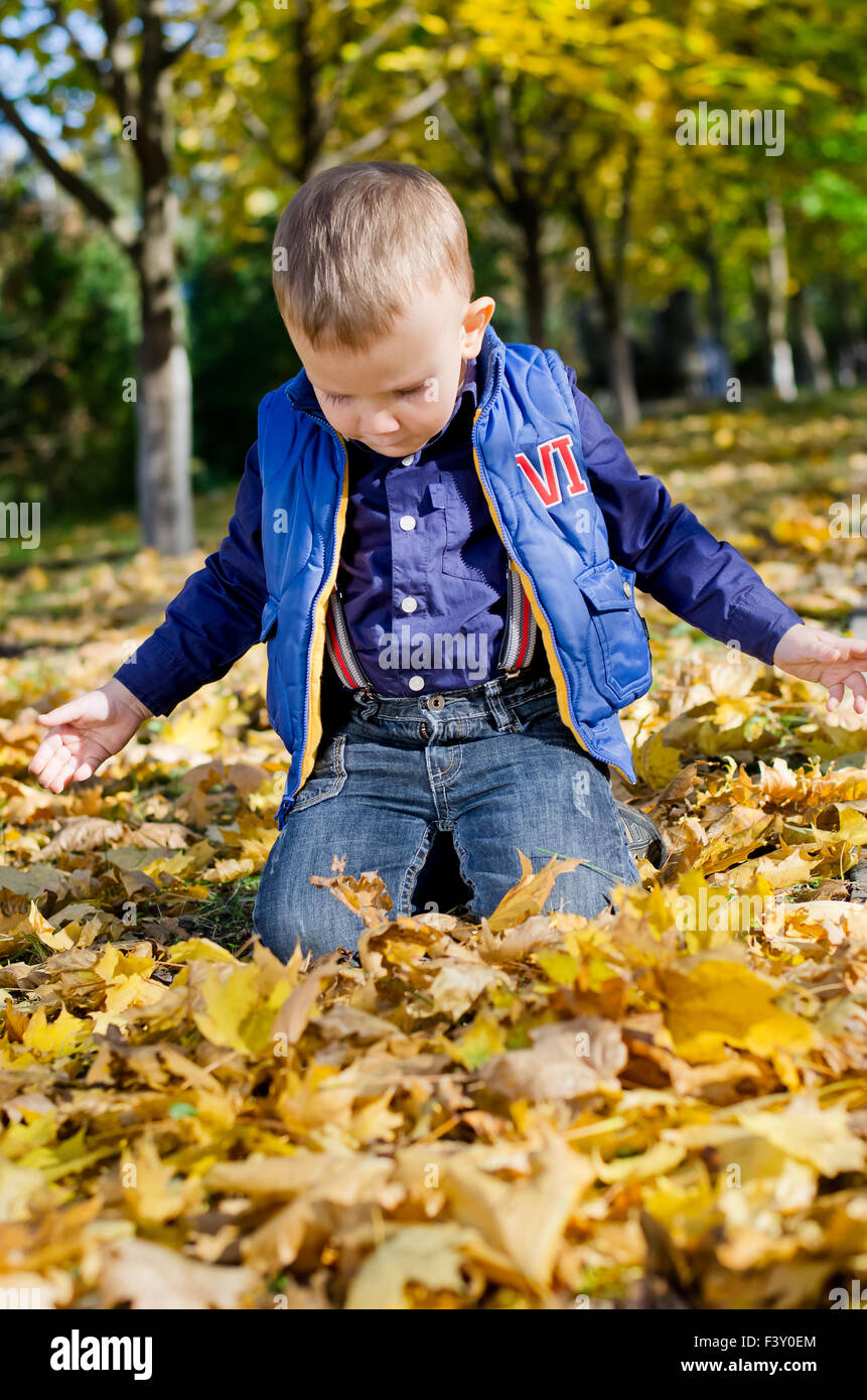 Kleiner Junge kniend im Herbstlaub Stockfoto