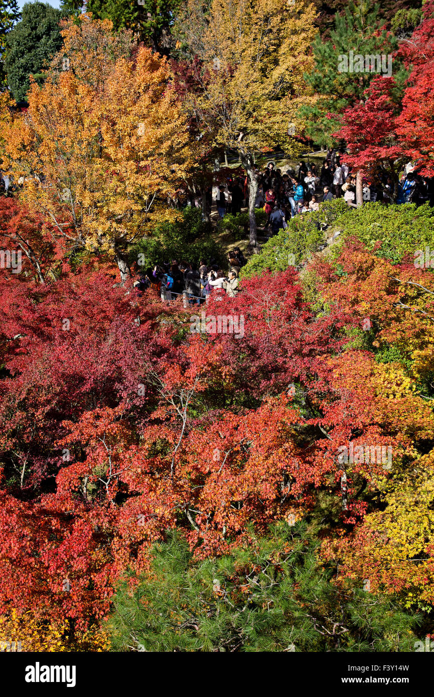 Japan, Honshu-Insel, Kansai, Kyoto, Tofoku-Ji-Gärten im Herbst. Stockfoto