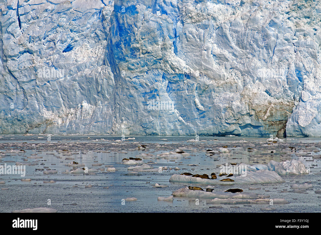 Gigantische Gletscher in Alaska Stockfoto