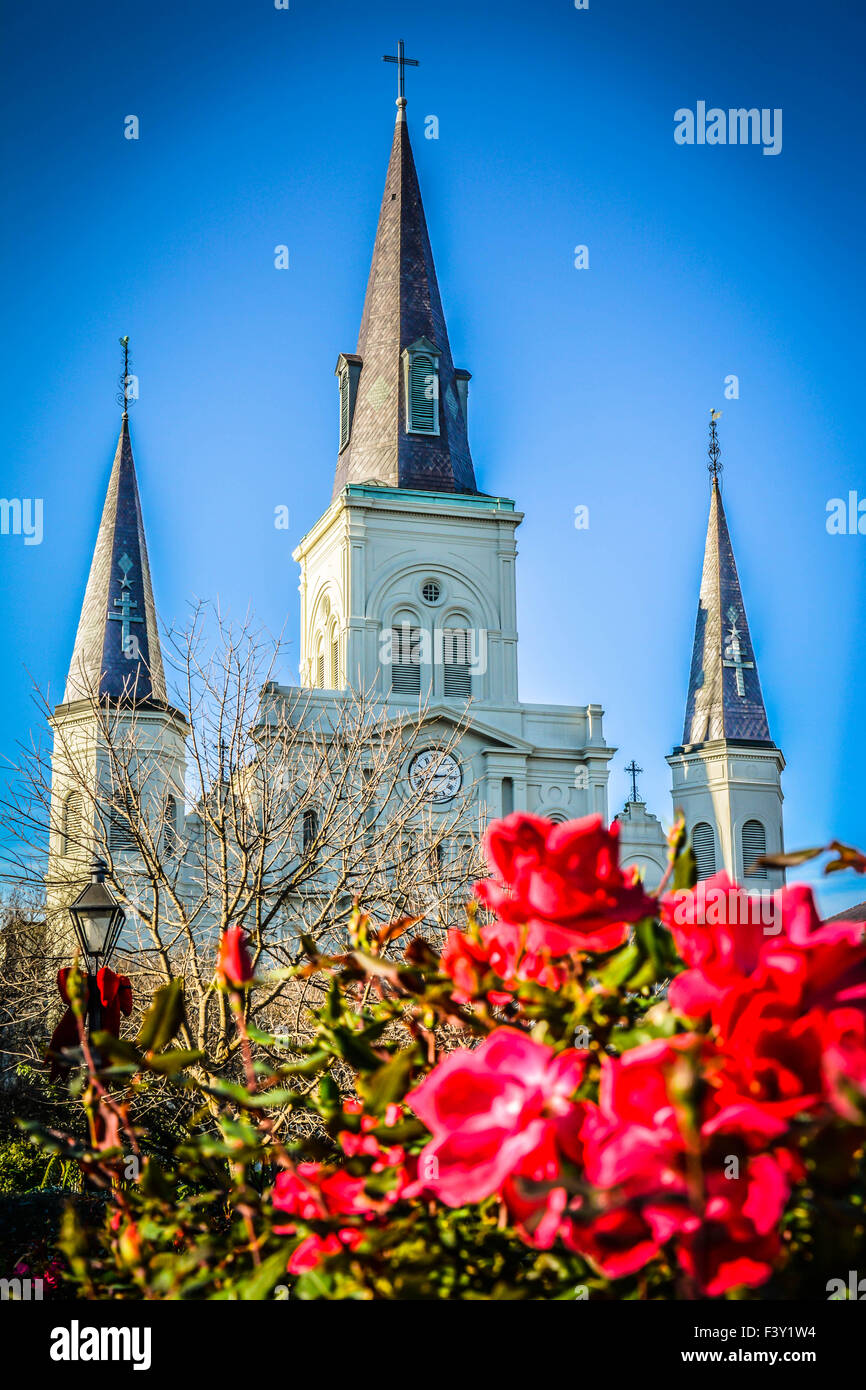 Dramatischer Vordergrund der roten Rosen vor den drei Stielsteinen des Wahrzeichen: Der St. Louis Cathedral am Jackson Square in New Orleans, LA, USA Stockfoto