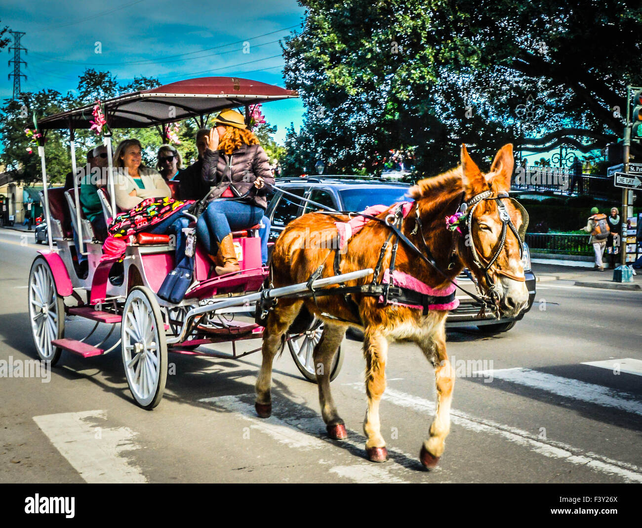 Touristen genießen eine Kutschfahrt mit Maultieren in der Nähe des Jackson Square im French Quarter in New Orleans, LA, USA Stockfoto