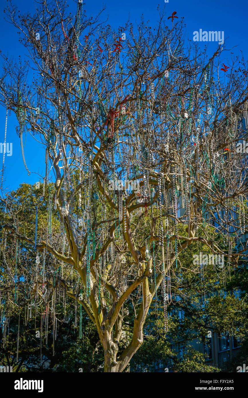 Ein Baum im Garden District von New Orleans, LA, ist mit hängenden, bunten Karneval Perlen bedeckt. Stockfoto