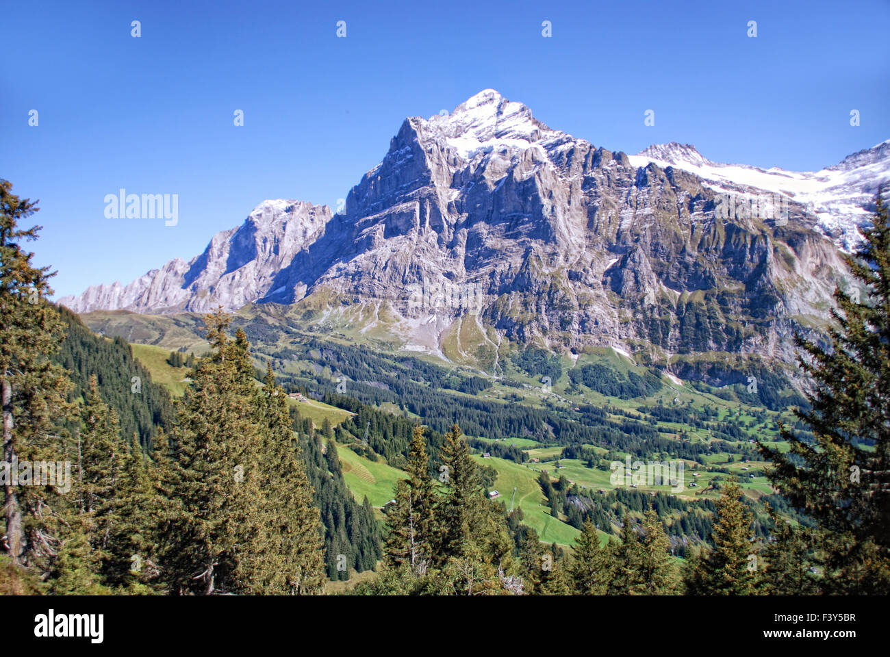 Schweizer Alpen X Stockfoto