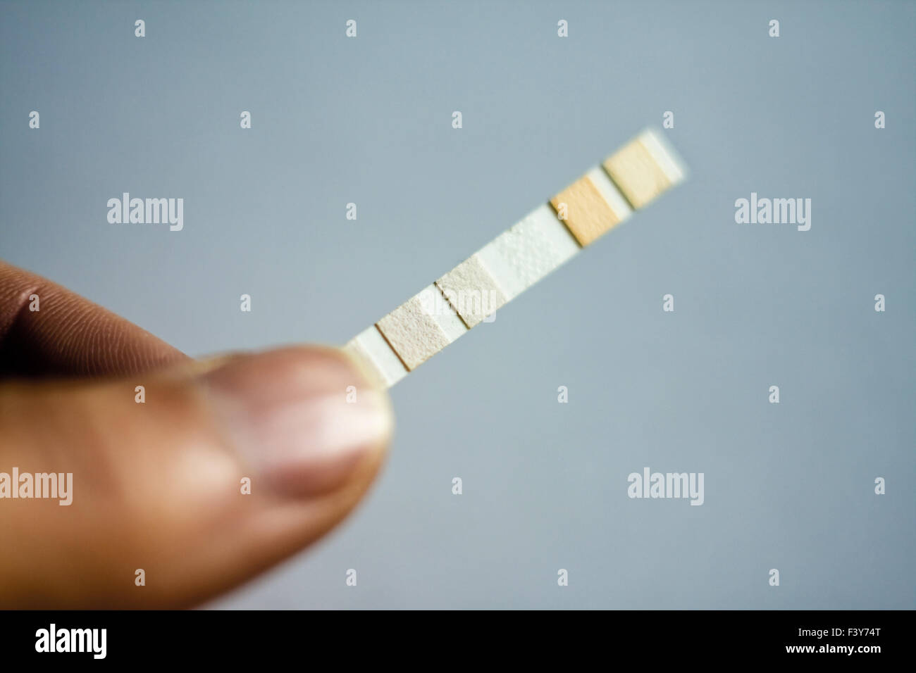 Lackmustest Fotos und Bildmaterial in hoher Auflösung Alamy